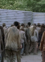 twd0601-2699.jpg