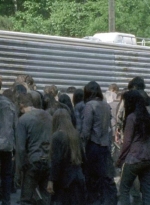 twd0601-2747.jpg