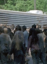 twd0601-2748.jpg