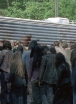 twd0601-2750.jpg