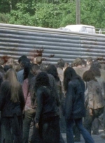 twd0601-2752.jpg