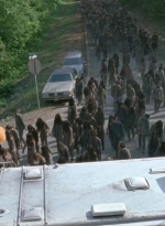 twd0601-2775.jpg