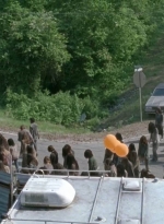 twd0601-2784.jpg