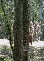 twd0601-3932.jpg