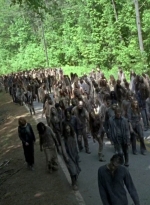 twd0601-3950.jpg