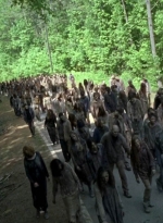 twd0601-3956.jpg