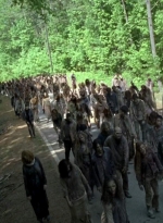 twd0601-3957.jpg