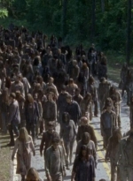 twd0601-3980.jpg