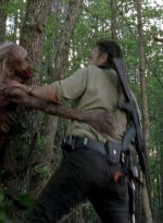 twd0601-4255.jpg