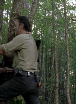 twd0601-4258.jpg