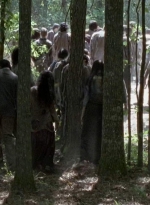 twd0601-4296.jpg