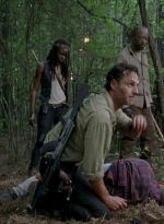 twd0601-4332.jpg