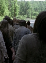 twd0601-4408.jpg