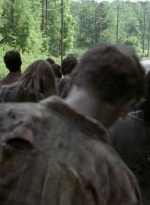 twd0601-4411.jpg