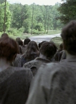 twd0601-4416.jpg