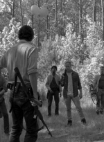 twd0601-4603.jpg