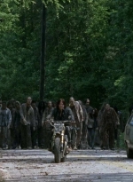 twd0601-4673.jpg