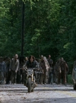 twd0601-4674.jpg