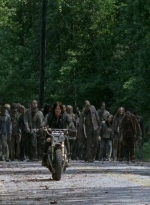 twd0601-4677.jpg