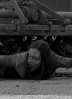 twd0601-4737.jpg