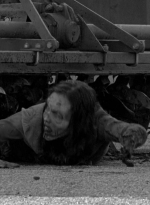 twd0601-4738.jpg