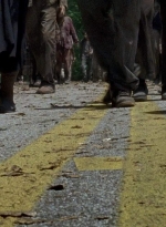 twd0601-4832.jpg