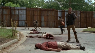 twd0602-2741.jpg