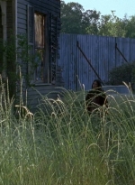 twd0602-0358.jpg