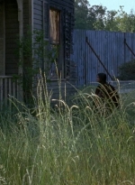 twd0602-0365.jpg