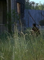 twd0602-0366.jpg