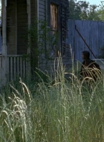 twd0602-0371.jpg