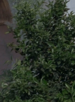 twd0602-1289.jpg