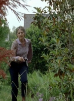 twd0602-1536.jpg