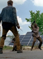 twd0602-2673.jpg