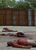 twd0602-2736.jpg