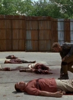 twd0602-2737.jpg