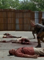 twd0602-2738.jpg