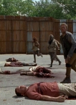 twd0602-2739.jpg