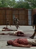 twd0602-2740.jpg