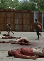 twd0602-2741.jpg