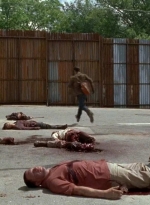 twd0602-2742.jpg