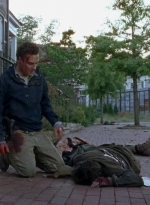 twd0602-2911.jpg