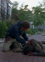 twd0602-2925.jpg