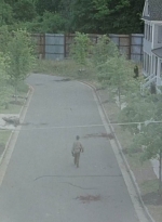 twd0602-3491.jpg