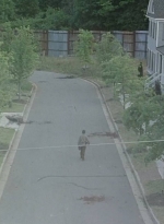 twd0602-3493.jpg