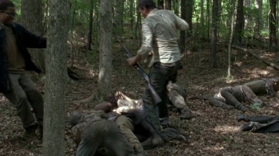 twd0603-0491.jpg