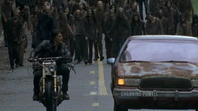 twd0603-0567.jpg