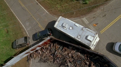 twd0603-2064.jpg