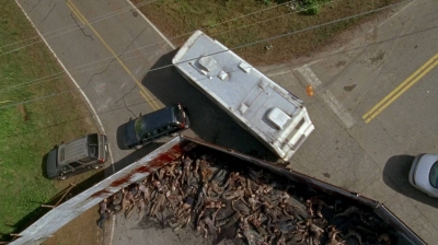 twd0603-2065.jpg