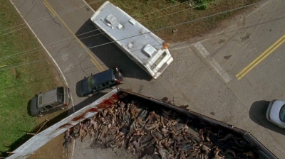 twd0603-2066.jpg